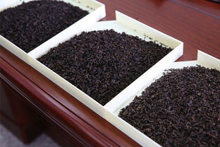 陳香型鐵觀音詳解 色澤烏潤香氣沉郁的日常茶飲珍品